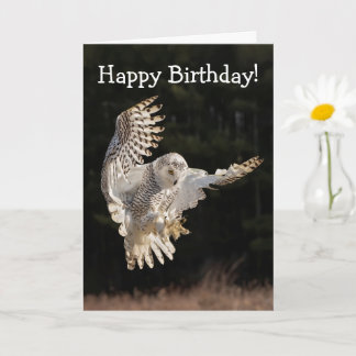 Happy Birthday Owl Card