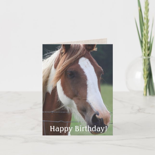 Happy  Birthday Paint Horse Equestrian Riding Card (Front)