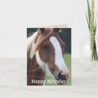 Happy Birthday Paint Horse Equestrian Riding Card