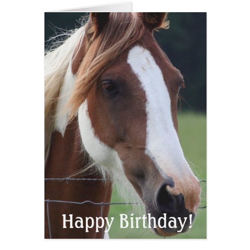 Happy Birthday Paint Horse Equestrian Riding Card | Zazzle