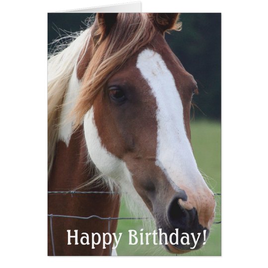 Happy Birthday Paint Horse Equestrian Riding Card | Zazzle.com