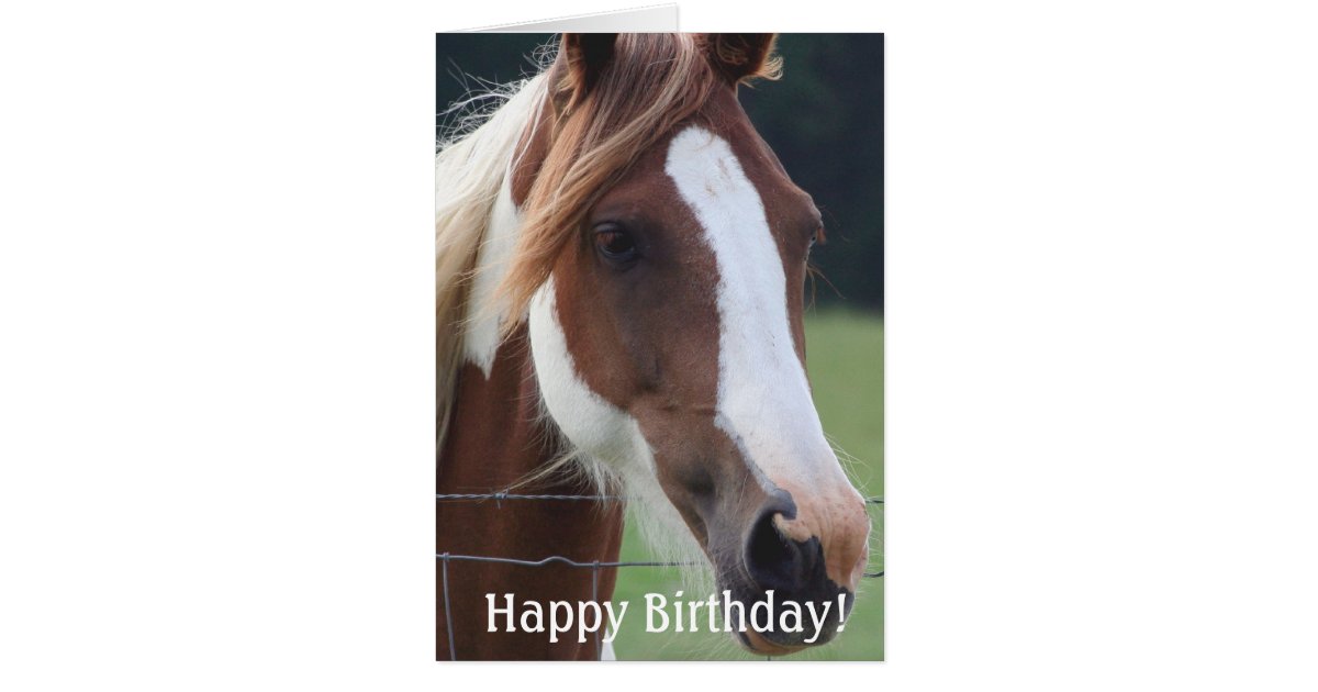 Happy Birthday Paint Horse Equestrian Riding Card Zazzle Com