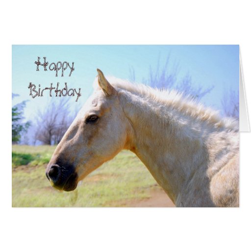 Happy Birthday Palomino Horse Card | Zazzle