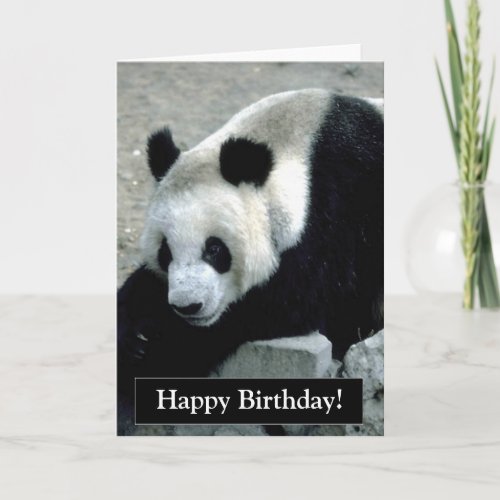 Happy Birthday Panda Bear Card