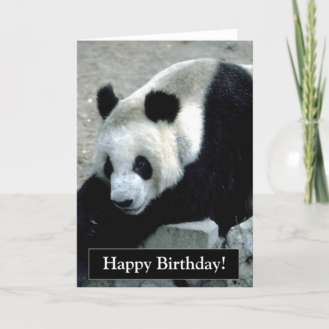 Happy Birthday Panda Bear Card | Zazzle