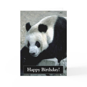 Happy Birthday Panda Bear Card