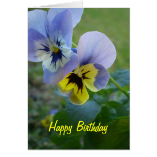 Pansy Cards | Zazzle