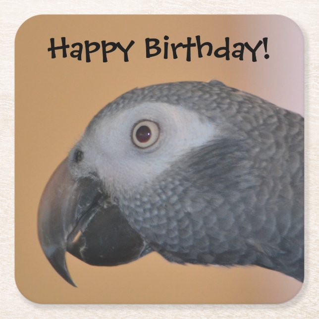 Happy Birthday Parrot Party Coasters (Front)