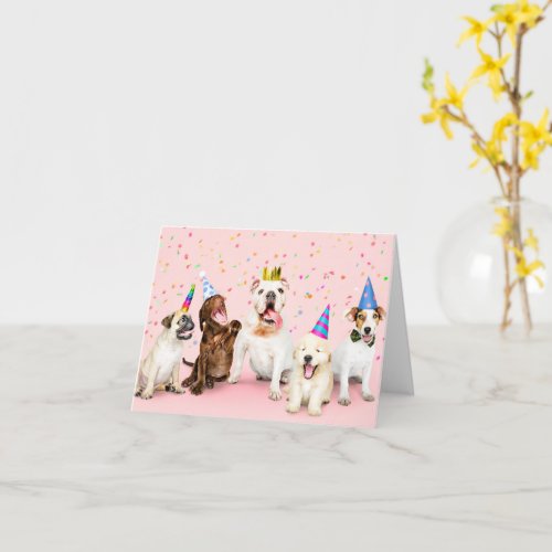 Happy Birthday Party Animal