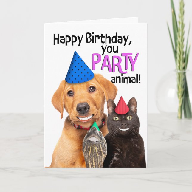 Happy Birthday Party Animal Funny Pets Smiling Holiday Card (Front)