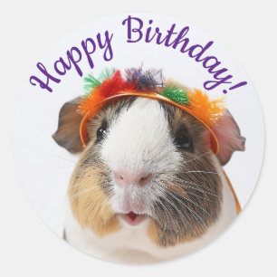 Happy Birthday - Party Animal Guinea Pig #2 Classic Round Sticker