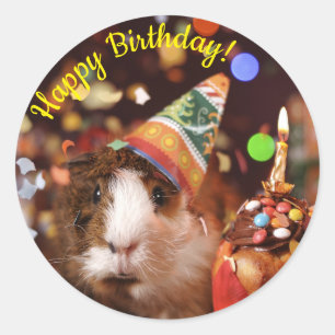 Happy Birthday - Party Animal Guinea Pig Paper Pla Classic Round Sticker