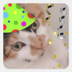 Happy Birthday Party Calico Cat Square Sticker