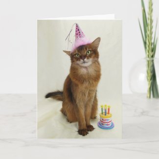 Happy Birthday Party Somali Cat Card
