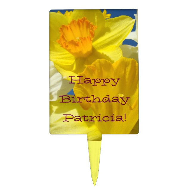 Happy Birthday Patricia! Cake Picks Add Your Name (Front)