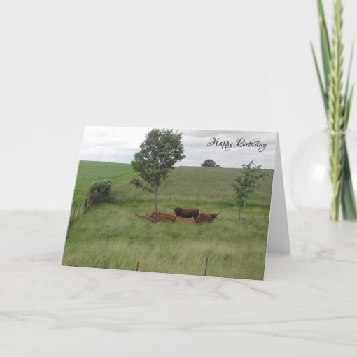 Happy Birthday Peaceful Day Cows in Field Card | Zazzle