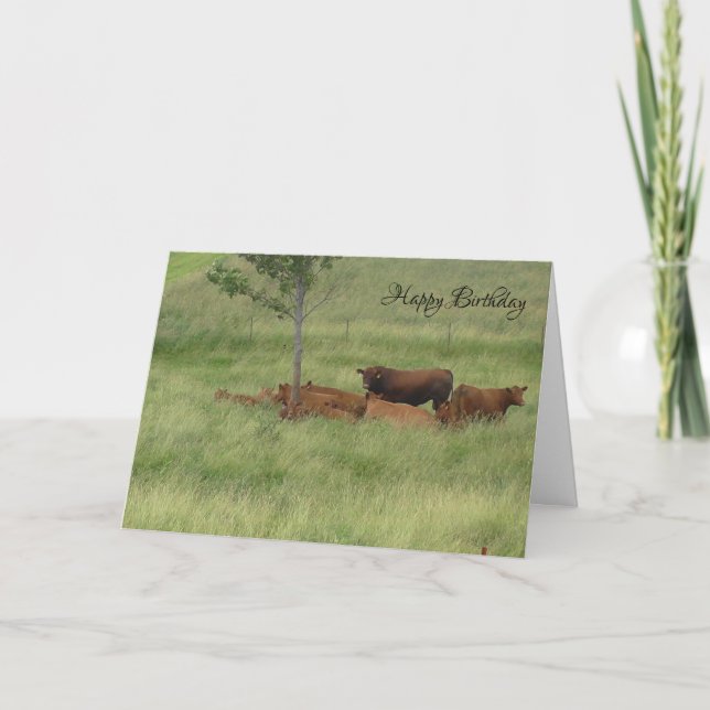 Happy Birthday Peaceful Day Cows in Field Card (Front)