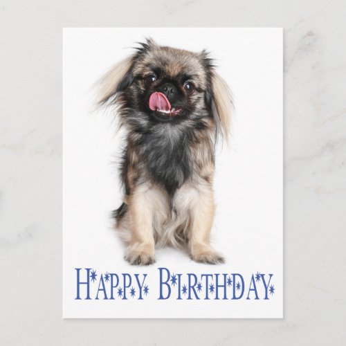 Happy Birthday Pekingese Puppy Dog Blue Postcard