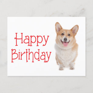 Happy Birthday Pembroke Corgi Puppy Dog Postcard