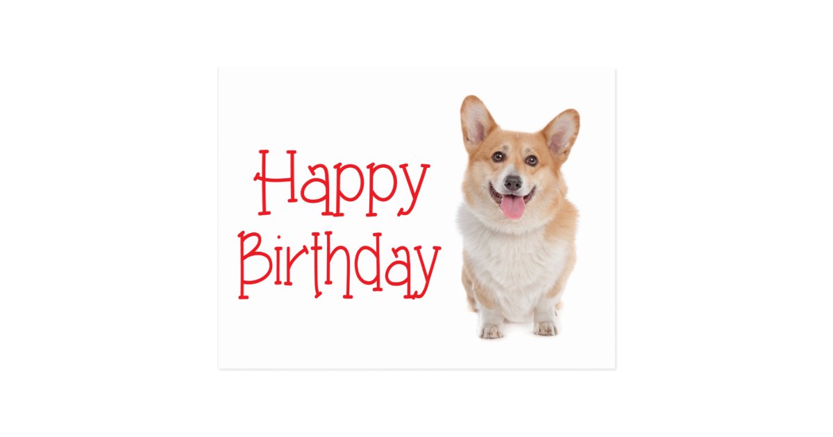 Happy Birthday Pembroke Corgi Puppy Dog Postcard | Zazzle.com