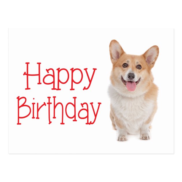Corgi Birthday Cake Corgi Birthday Cake