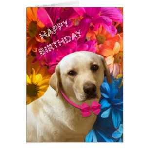 Happy Birthday, Pet, Dog, Cute Labrador Flowers Cards