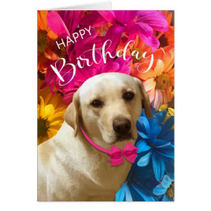 Happy Birthday, Pet, Dog, Cute Labrador Flowers Cards