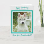 Happy Birthday - Pet Photo - Worlds Best Dog Mom Card<br><div class="desc">Happy Birthday to your World's Best Dog Mom from the dog ! Add your dog's photo and personalize from the Dog Mom's Favorite Child  .
Happy Birthday - Pet Photo - Worlds Best Dog Mom</div>