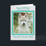 Happy Birthday - Pet Photo - Worlds Best Dog Mom Card<br><div class="desc">Happy Birthday to your World's Best Dog Mom from the dog ! Add your dog's photo and personalize from the Dog Mom's Favorite Child  .
Happy Birthday - Pet Photo - Worlds Best Dog Mom</div>