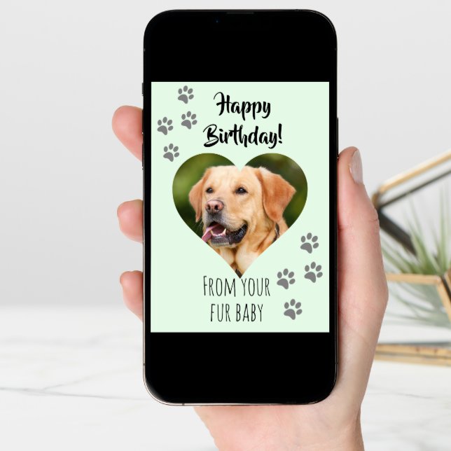 Happy Birthday Photo Dog Cat Pet Fur Baby Card (Front Digital)