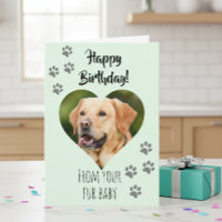Happy Birthday Photo Dog Cat Pet Fur Baby