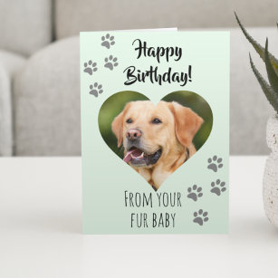 Happy Birthday Photo Dog Cat Pet Fur Baby Card
