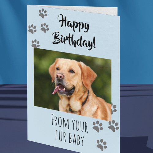 Happy Birthday Photo Dog Cat Pet Fur Baby Card