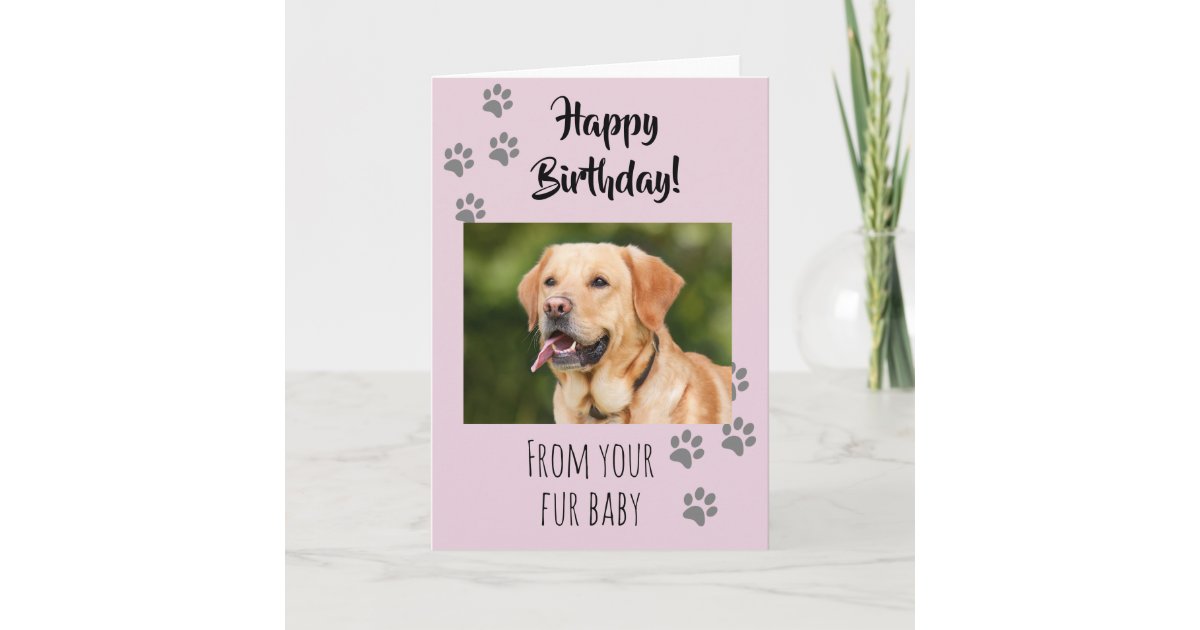 Happy Birthday Photo Dog Cat Pet Fur Baby Card Zazzle Com