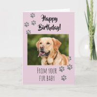 Happy Birthday Photo Dog Cat Pet Fur Baby