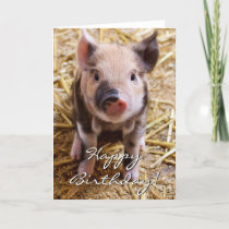 Happy Birthday Piglet Card