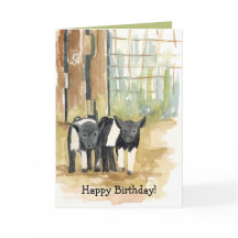 Happy Birthday Pigs Barnyard Farm Animals