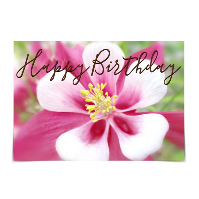 "Happy Birthday" Pink and White Columbine Card (Creator Uploaded)