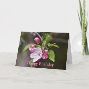 Happy Birthday Pink Crab Apple Flowers Card