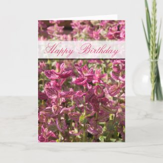 Happy Birthday Pink Leaves On Plant Stalks Photo