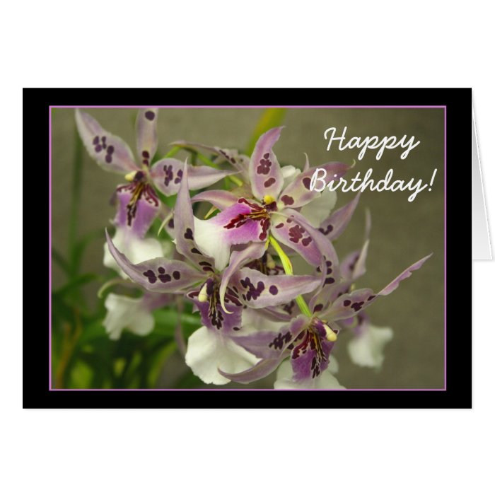 Happy Birthday Pink Orchids greeting card