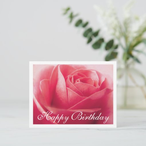 Happy Birthday Pink Rose Greeting Postcard | Zazzle