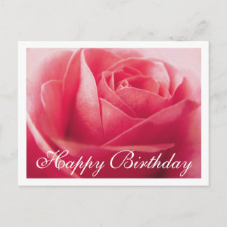 Happy Birthday Pink Rose Greeting Postcard