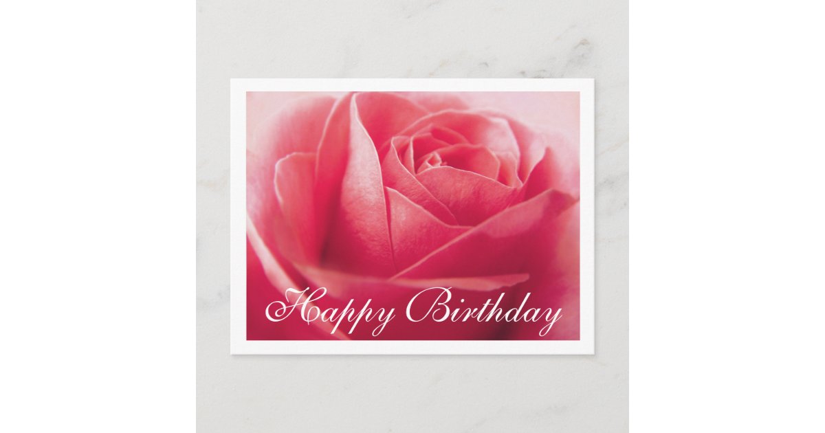 Happy Birthday Pink Rose Greeting Postcard | Zazzle