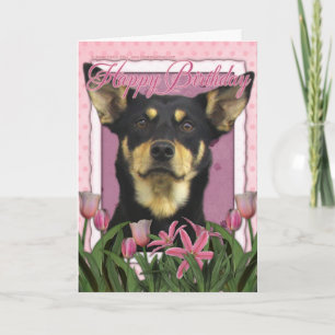 Happy Birthday - Pink Tulips - Australian Kelpie Card