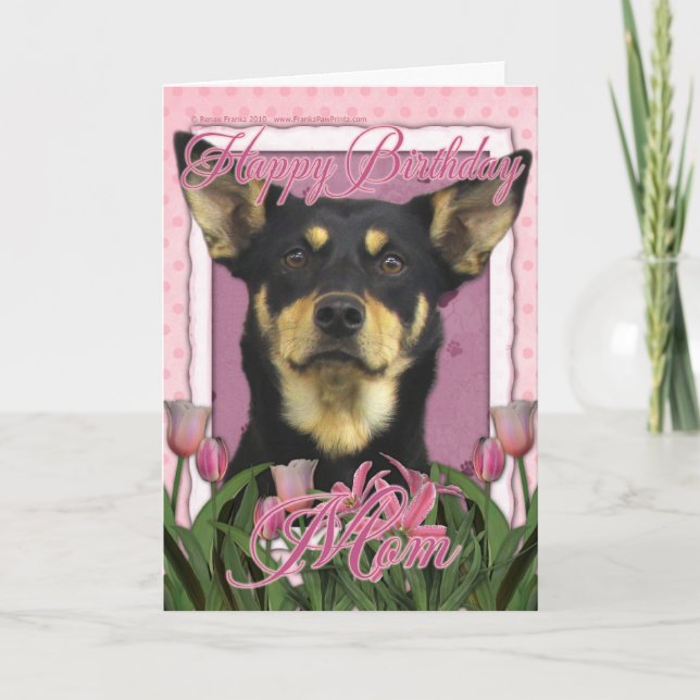 Happy Birthday - Pink Tulips - Australian Kelpie Card (Front)