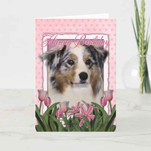 Happy Birthday _ Pink Tulips _ Australian Shepherd Card