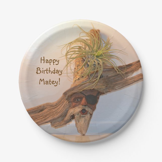 Happy Birthday Pirate Paper Plates (Front)