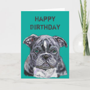 Pitbull Birthday Cards | Zazzle