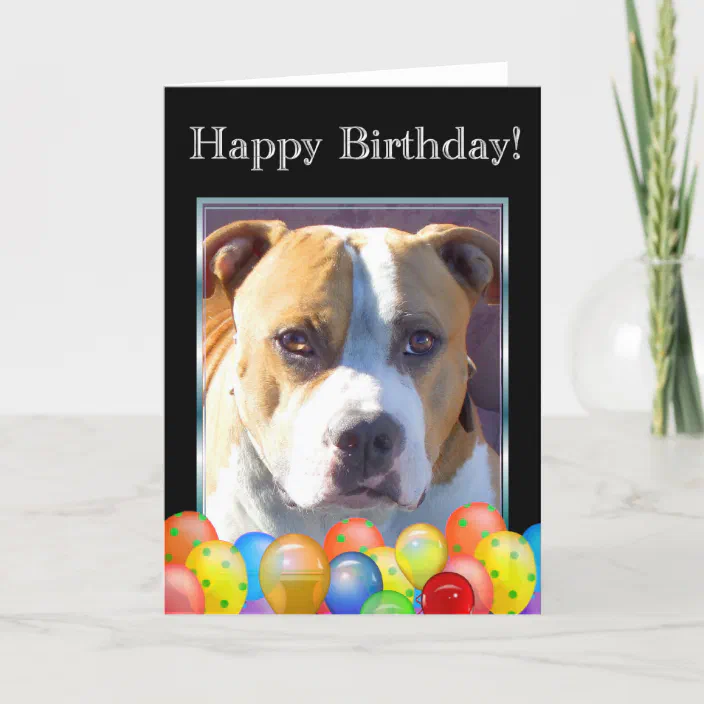 Personalized Happy Birthday Pitbull Dog Greeting Card Zazzle Com